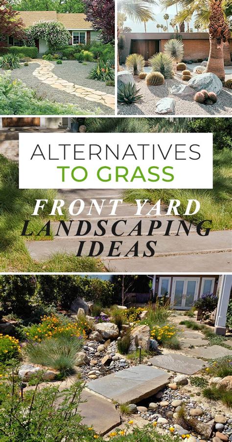 Using plants in your front yard landscaping. Alternatives to Grass : Front Yard Landscaping Ideas • The ...