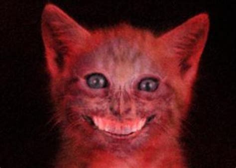 Smile Cat Creepypasta Know Your Meme