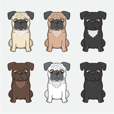 Set Of Pug Dogs In Different Colors 10486228 Vector Art At Vecteezy