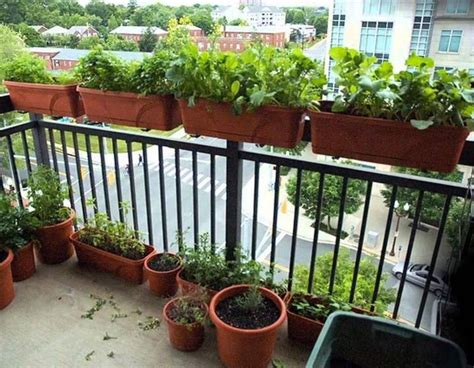 Easy Balcony Gardening Garden Design