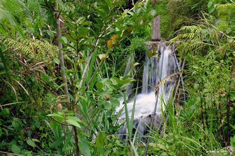 Balbalasang National Park Trailblazing Paradise Travel Trilogy