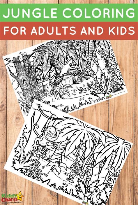 Jungle coloring pages rainforest animal coloring book new jungle coloring pages valid. Jungle coloring for adults and kids - kiddycharts coloring