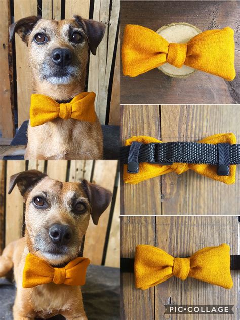 Mustard Yellow Dog Bow Tie A Simple Accessory For The Hipster Dog