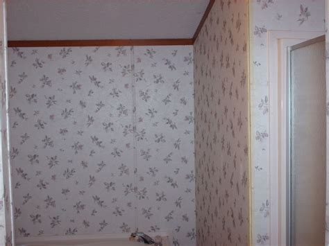 How To Paint Over Vinyl Mobile Home Walls Wall Design Ideas