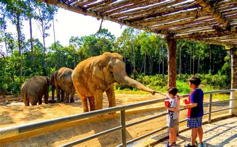 33 Largest Zoos In The World That Are A Must Visit In 2023