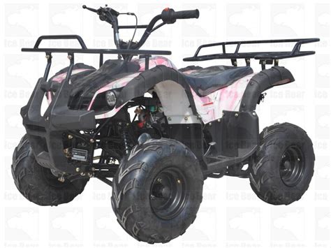 Taotao 150g Full Size 150cc Atv Automatic W Reverse Birdys