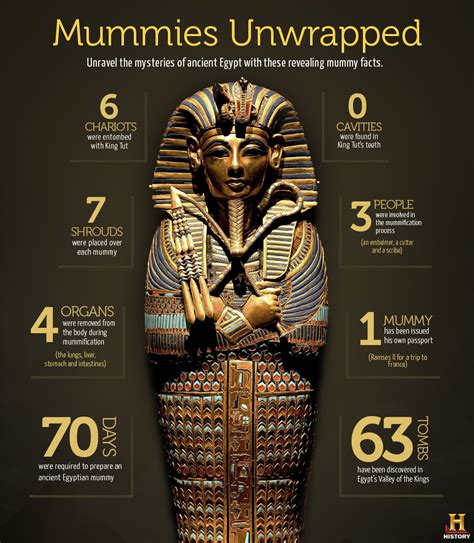 Ancient Egypt Mummification Process Step By Step