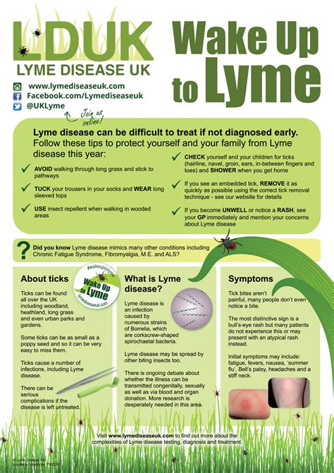 Awareness Poster Info Image Lyme Disease Uk