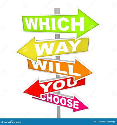 Arrow Signs Which Way Will You Choose Stock Illustration Image