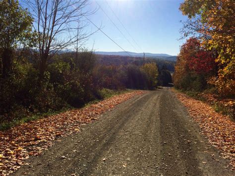 Hard Packed Dirt And Gravel