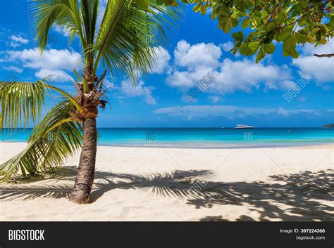 Sunny White Sand Beach Image And Photo Free Trial Bigstock