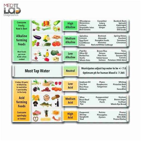 Alkaline Diet For Beginners Info Foods Plan And Recipes To Get You Started Alkaline Diet