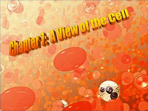 Ppt Chapter 7 A View Of The Cell Powerpoint Presentation Free