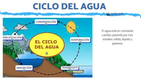 Qué Es El Ciclo Del Agua Resumen Para Niños Con Imágenes