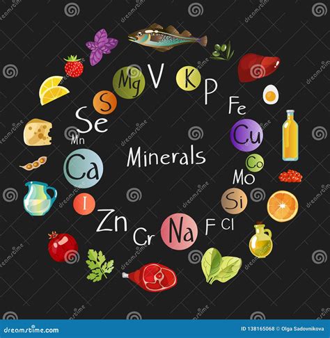 All Minerals For Health Benefits In Food Balanced Diet Stock Vector