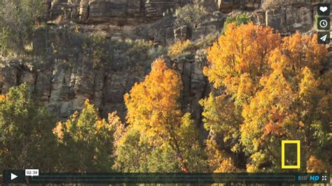 Video Fly Fishing The Pecos River From National Geographic The