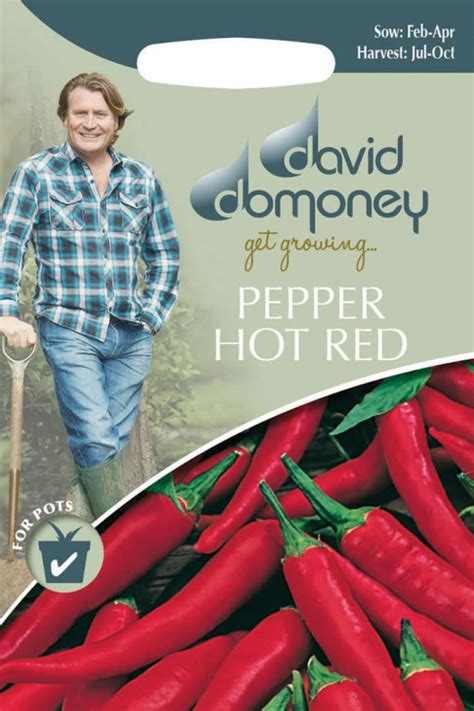 Get Growing Mr Fothergills Pepper Hot Red David Domoney