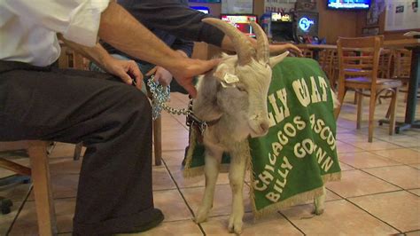 Wrigleyville Prepares To Start Postseason Billy Goat Tavern Hopes New