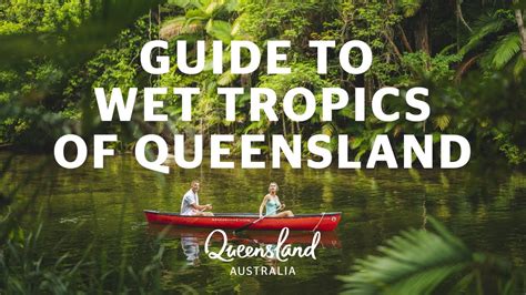 Guide To The Wet Tropics Of Queensland World Heritage Area Youtube
