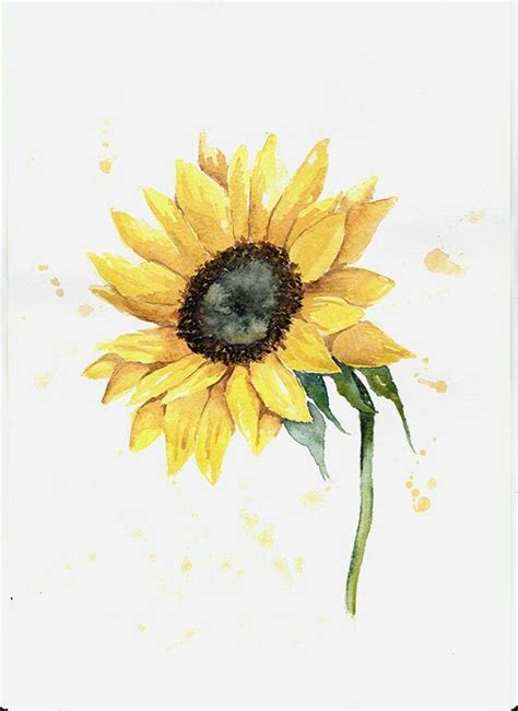 Sunflower Watercolour Watercolor Sunflower Sunflower Watercolor