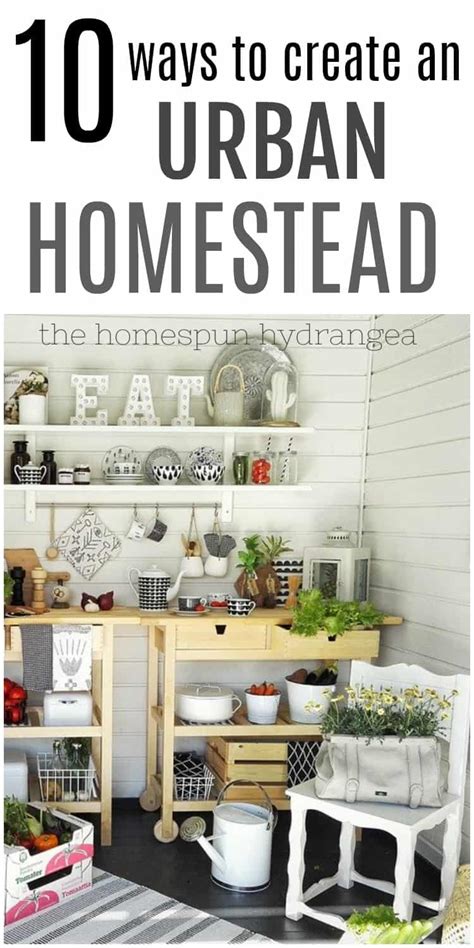 10 Practical Tips For Creating An Urban Homestead The Homespun Hydrangea