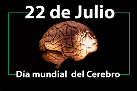 22 de julio Día Mundial del Cerebro Cómo mantener un cerebro