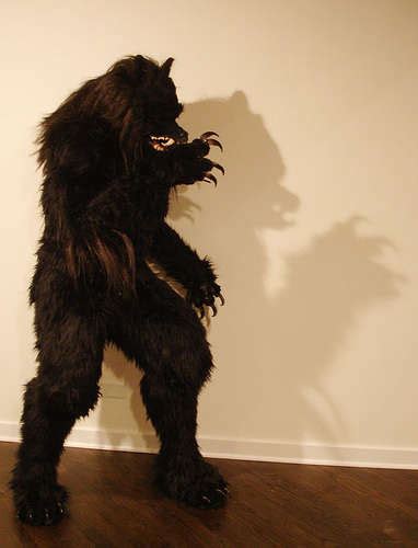 Realistic Werewolf Costume Make