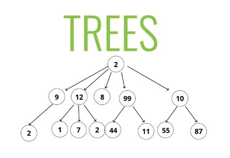 Complete Tutorials Of Introduction To Data Structures