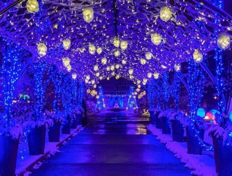 Conservatory of flowers light show 2020. Phipps Light Garden: It's Not Christmas In Pittsburgh ...