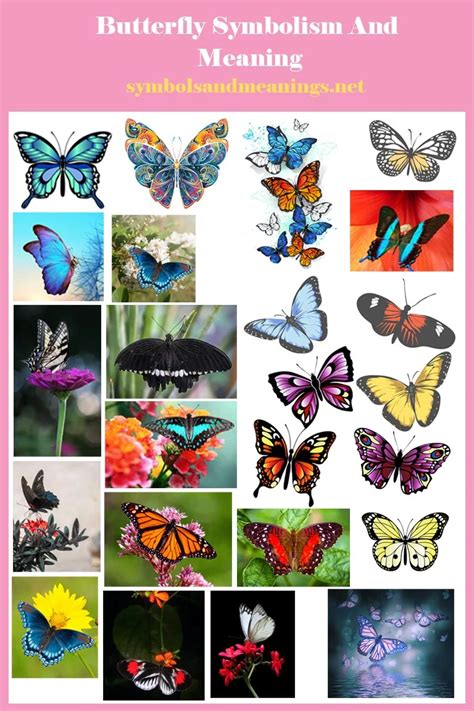 Butterfly Symbolism And Meaning What Do Butterflies Symbolize Yellow