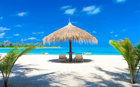 Download Wallpapers Maldives Tropical Island Beach Sand