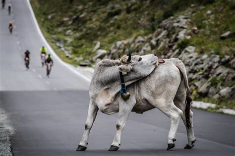 Die route führt über den steilen haiminger sattel zum kühtai. Racefietsblog rijdt de Ötztaler Radmarathon 2017 - Racefietsblog.nl