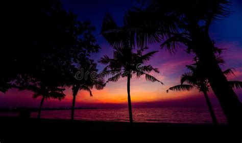 Beautiful Tropical Beach With Palm Trees Sunrises And Sunsets Ocean