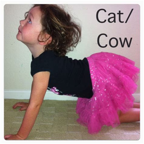 Cat Cow Pose Easy Yoga Poses Easy Yoga Yoga Poses