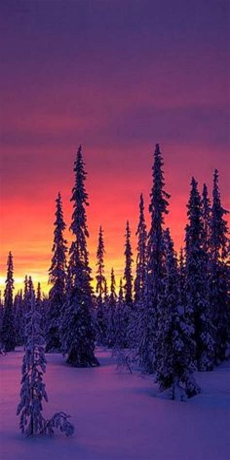 I Am Truly Humbled By The Beauty I See Here Winter Sunset Found On