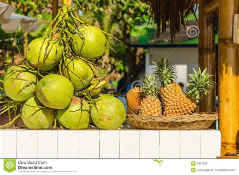 Stand With Coconuts And Pineapples Stock Image Image Of Palm