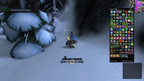 Exotic and rare hunter pets give much spice to the class. Skoll | Tame Pet for Hunter | WoW Rare Northrend (Updated ...