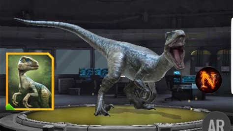 Jurassic World Alive New Blue Unlocked Youtube