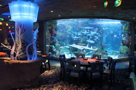 Tennessee Aquarium Restaurant Mediafeed