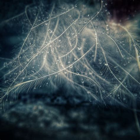 30 Superb Iphone Photos With Amazing Texture