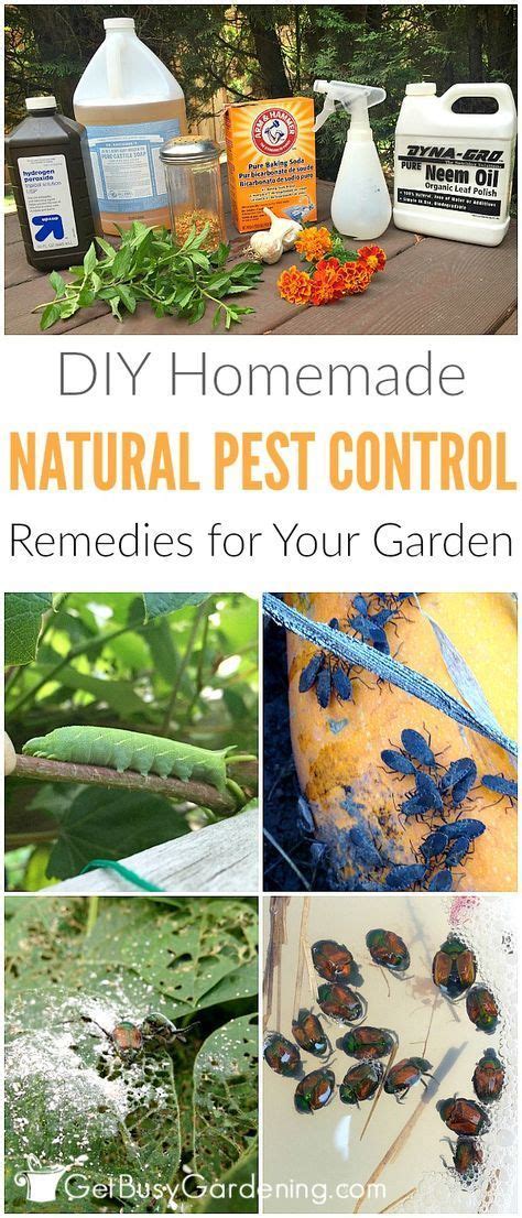Dont Use Chemical Pesticides To Control Bugs In Your Garden They Do