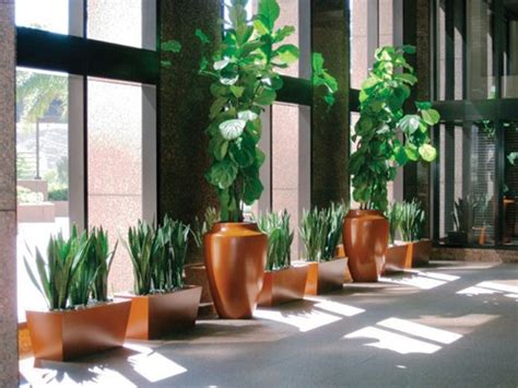 Interior Plantscapes Madison House Designs Llc