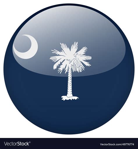 South Carolina Flag Button Royalty Free Vector Image