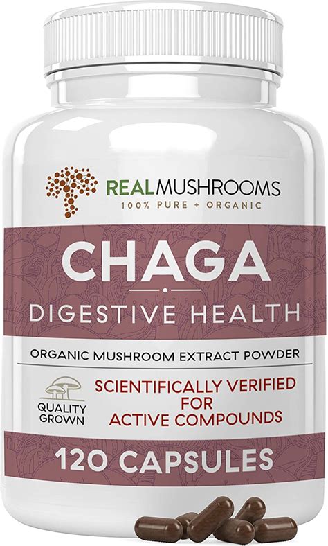 Ranking The Best Chaga Mushrooms Of 2022 Body Nutrition