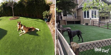 Dog Run Ideas Definitive Guide To Backyard Dog Potty Areas — Naive Pets