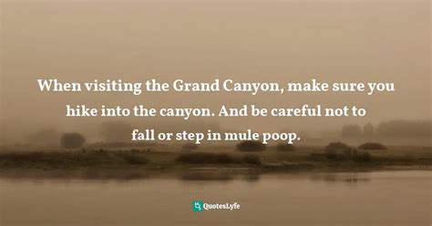 When Visiting The Grand Canyon Make Sure You Hike Into The Canyon An