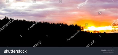 Silhouette Heather Landscape Forest Sunset Sundown Stock Photo