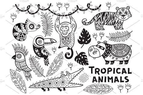 Tropical Animals Animal Coloring Pages Coloring Pages Nature