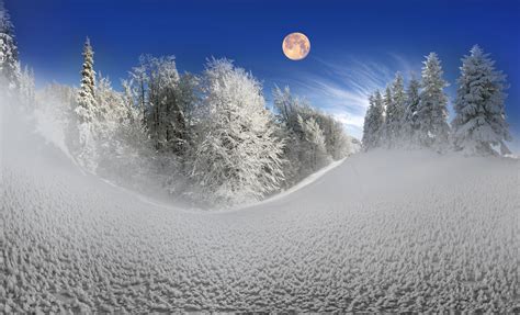 Full Moon Over Winter Forest