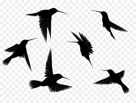 Free Flying Bird Silhouette Clip Art Download Free Flying Bird